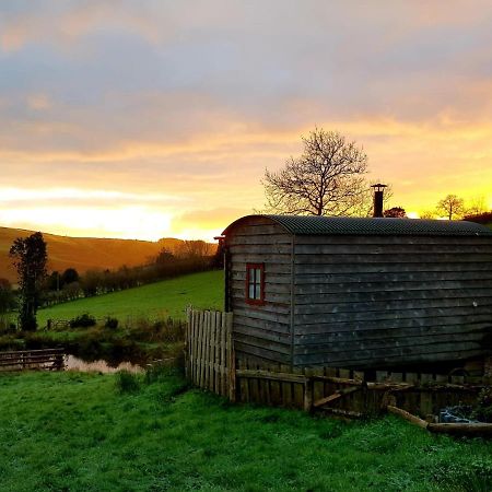 Foxglove Accommodation Craven Arms Εξωτερικό φωτογραφία