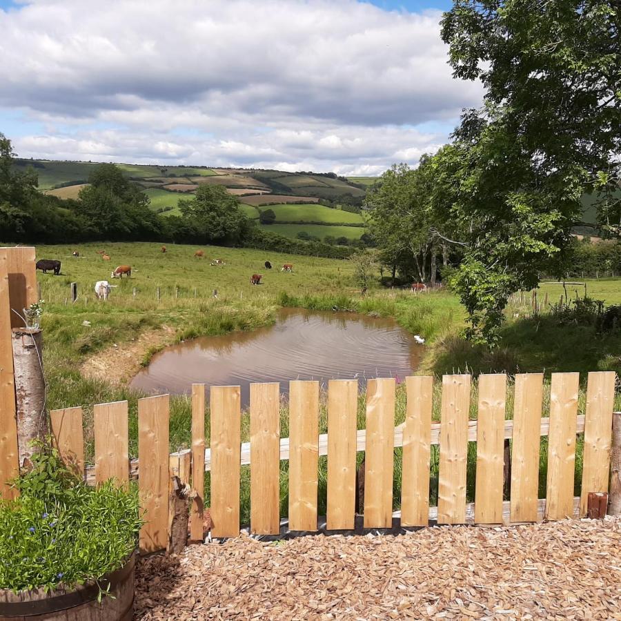 Foxglove Accommodation Craven Arms Εξωτερικό φωτογραφία