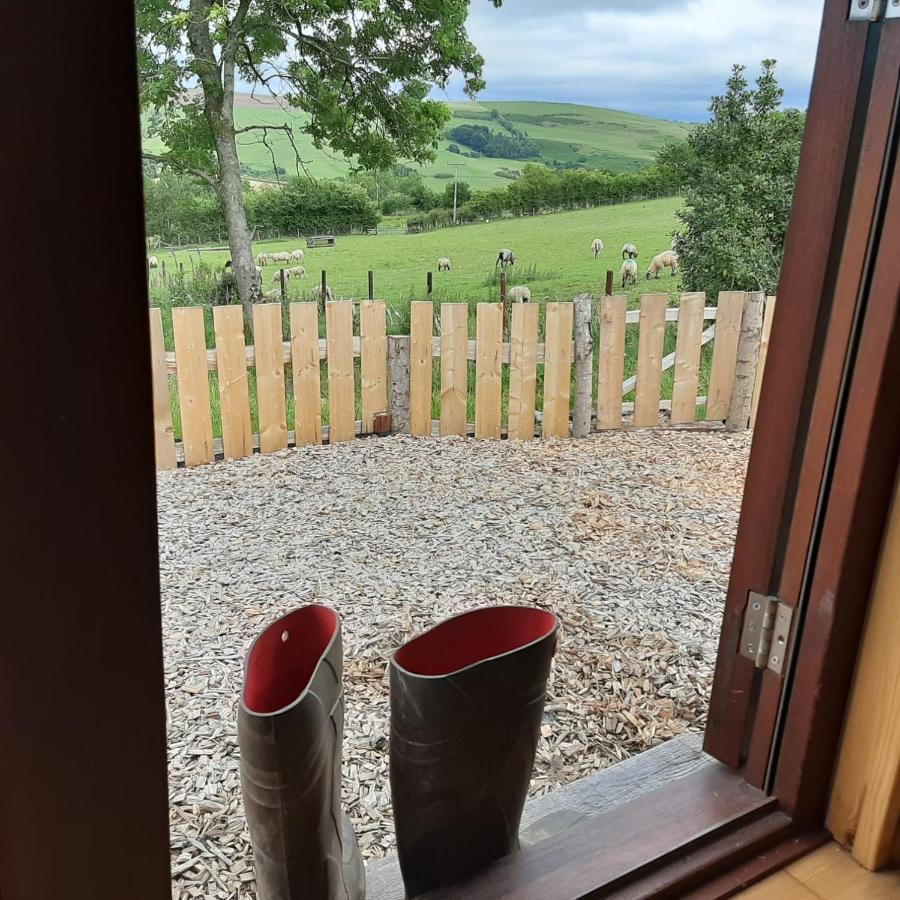 Foxglove Accommodation Craven Arms Εξωτερικό φωτογραφία