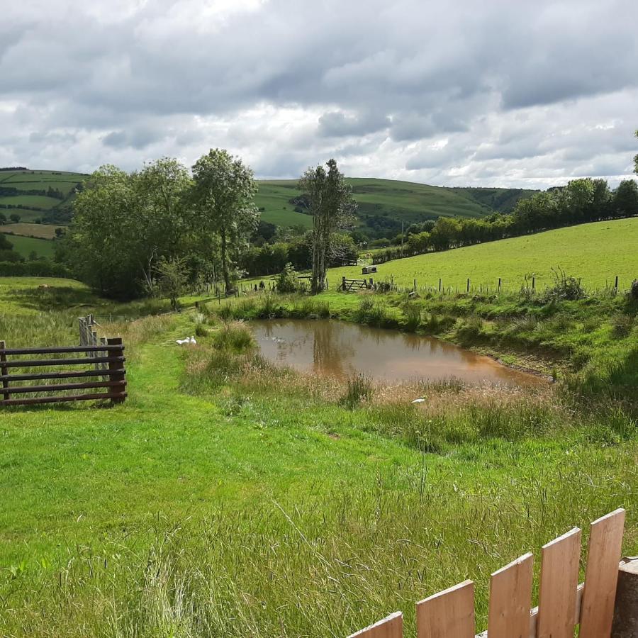 Foxglove Accommodation Craven Arms Εξωτερικό φωτογραφία
