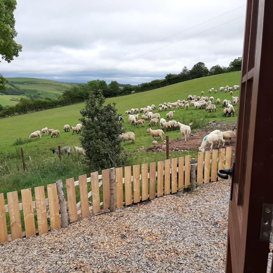 Foxglove Accommodation Craven Arms Εξωτερικό φωτογραφία