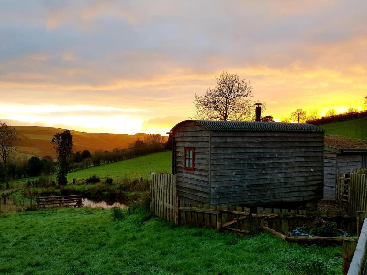 Foxglove Accommodation Craven Arms Εξωτερικό φωτογραφία