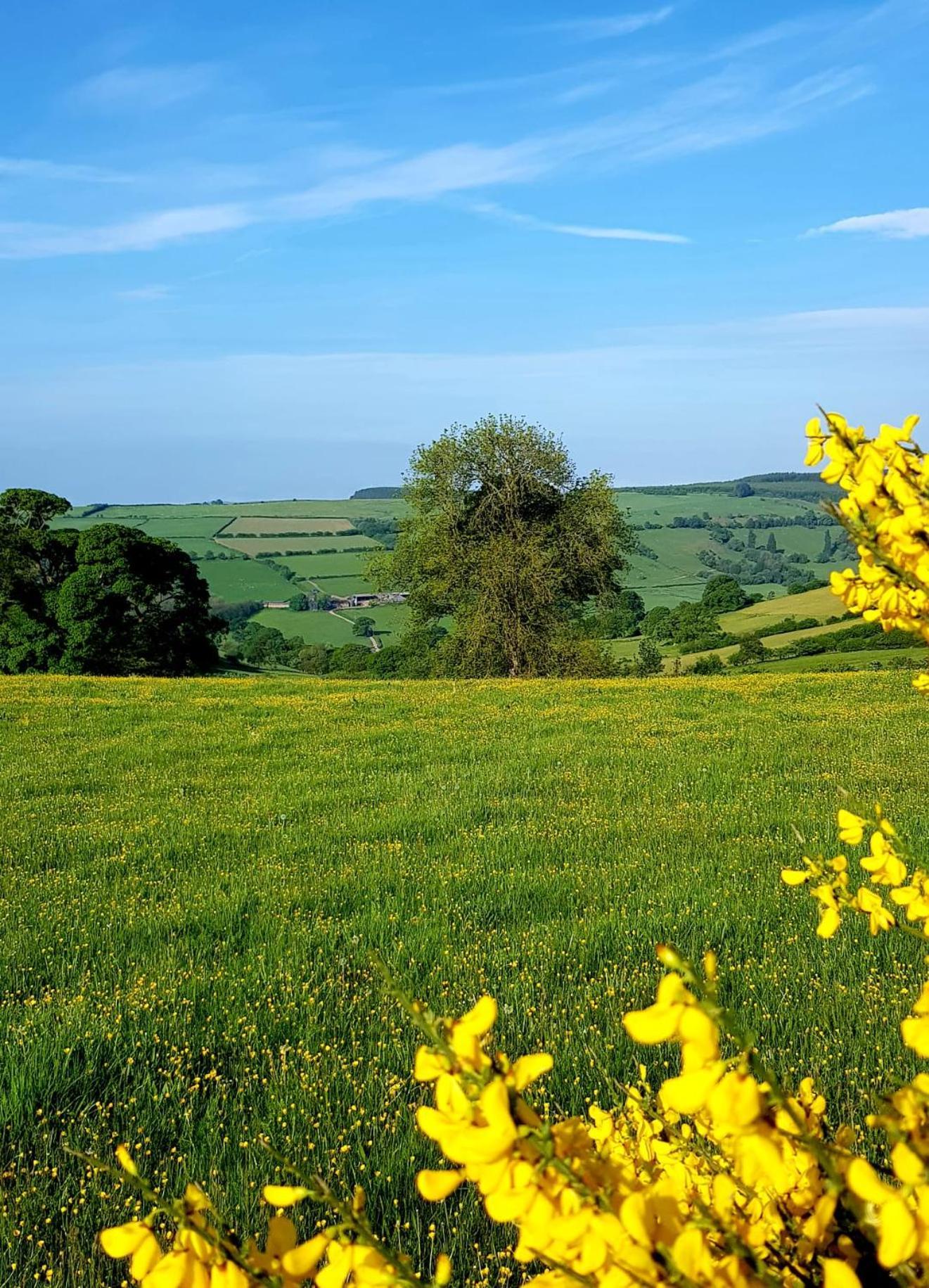 Foxglove Accommodation Craven Arms Εξωτερικό φωτογραφία