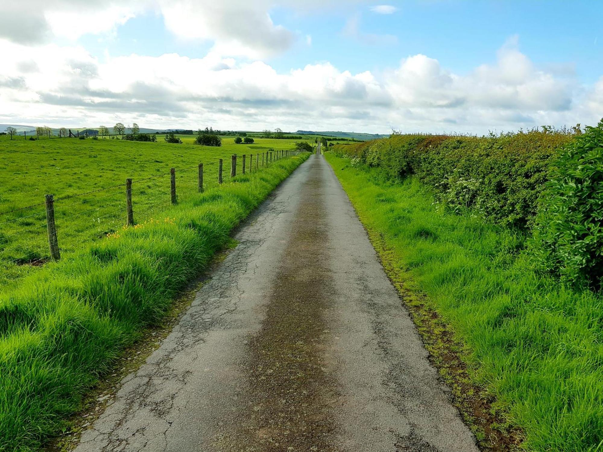 Foxglove Accommodation Craven Arms Εξωτερικό φωτογραφία