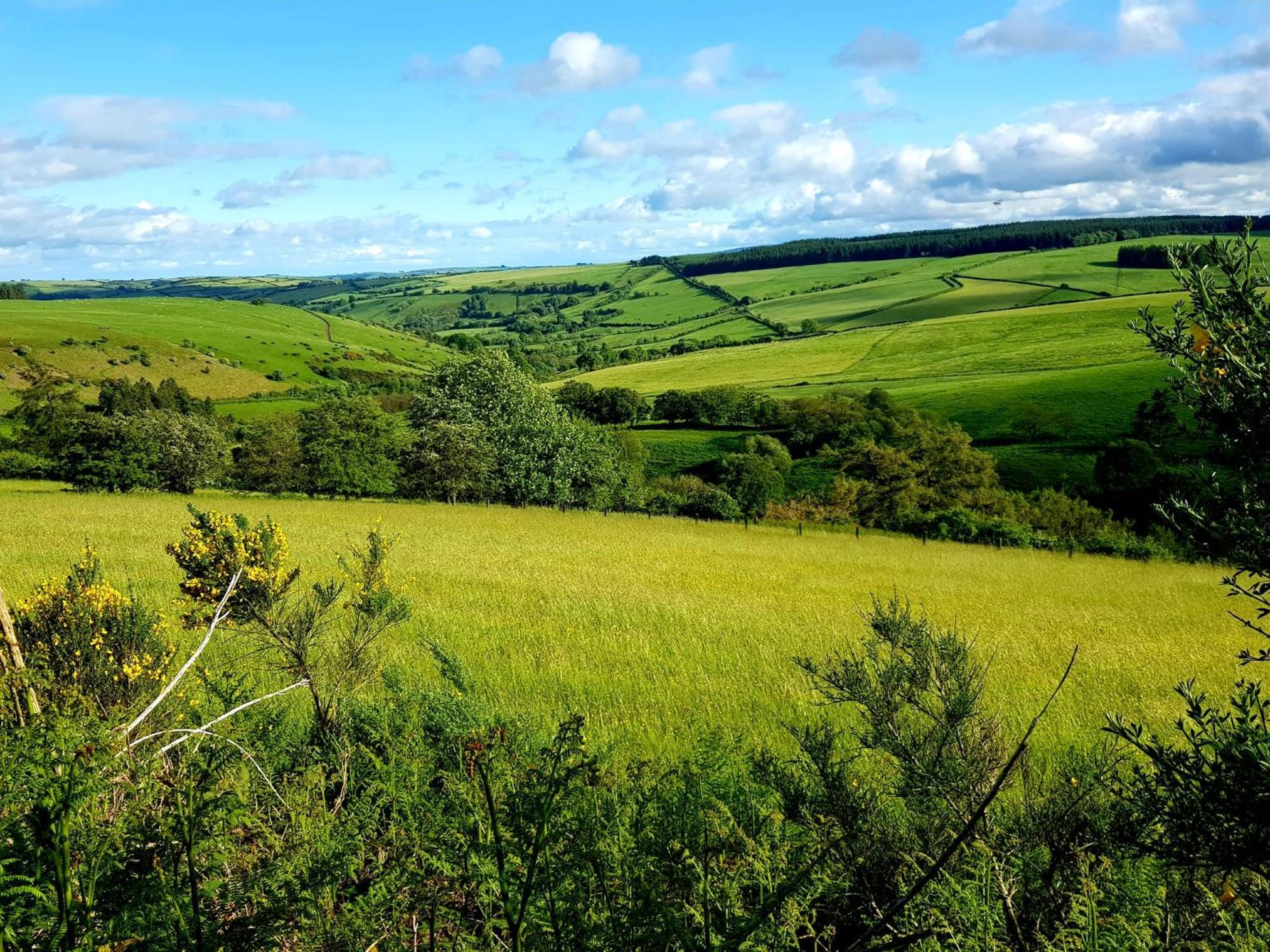 Foxglove Accommodation Craven Arms Εξωτερικό φωτογραφία