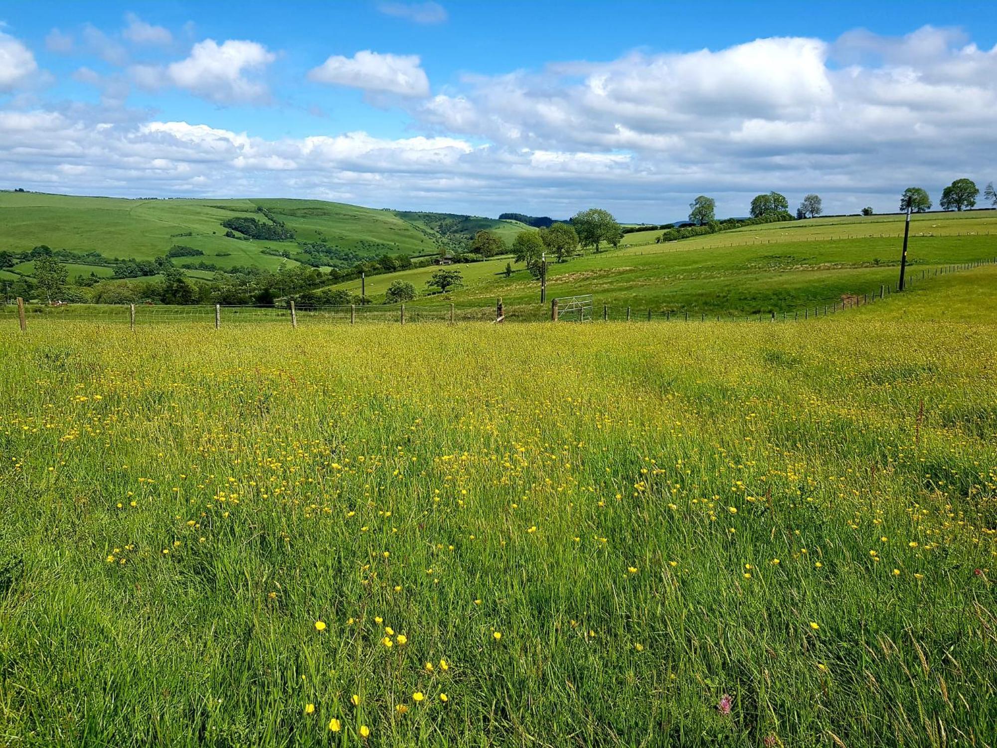 Foxglove Accommodation Craven Arms Εξωτερικό φωτογραφία